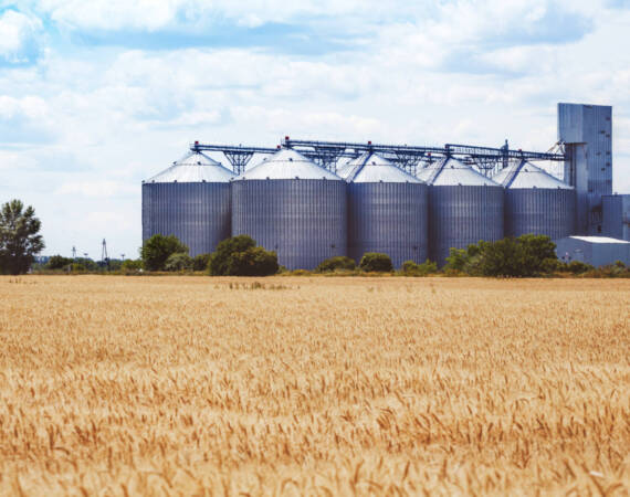 Съхранение на зърнени и маслодайни култури