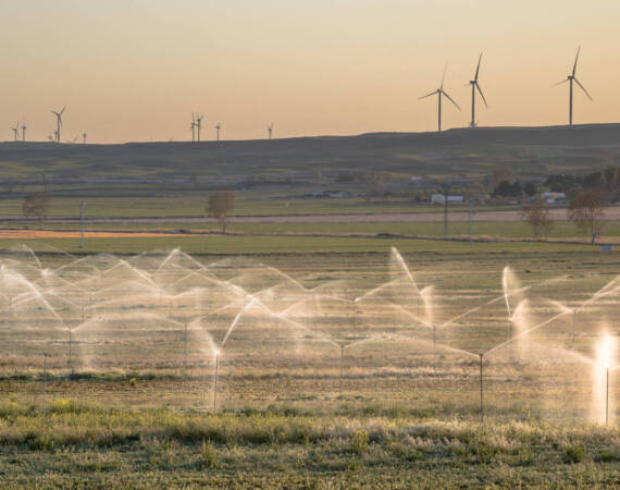 irrigation-sprinklers-watering-farmland-2026-01-09-01-13-32-utc