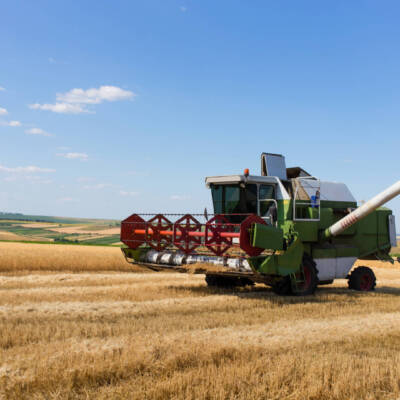 Производство на зърнени и маслодайни култури