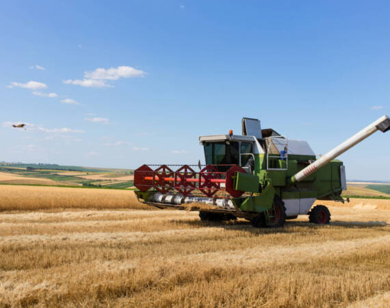 Производство на зърнени и маслодайни култури