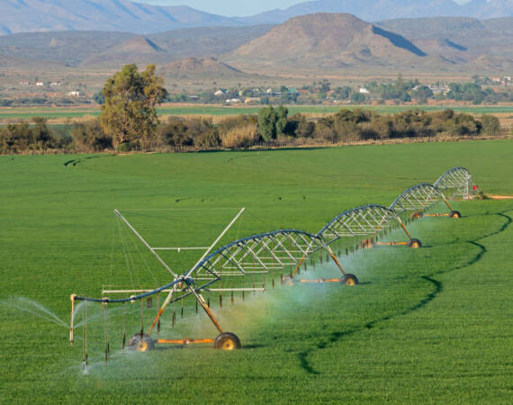 center-pivot-irrigation-system-south-africa-2026-01-07-06-35-10-utc