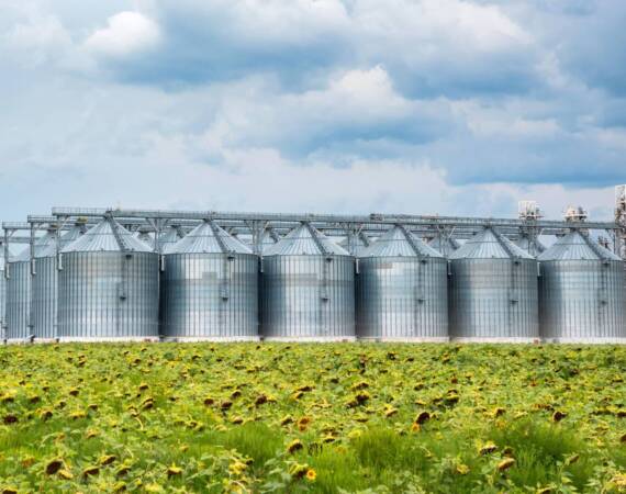 distant-view-of-sunflower-oil-refinery-in-a-field-2026-01-05-05-35-24-utc