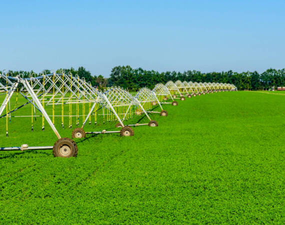 modern-irrigation-system-at-fertile-agricultural-f-2026-01-11-08-37-57-utc