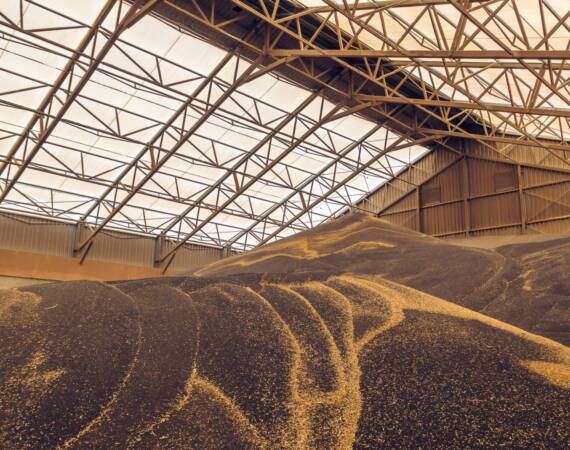 interiors-of-a-warehouse-for-storing-grains-in-bul-2026-01-07-07-29-51-utc