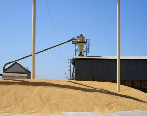 this-central-california-plant-processes-animal-fee-2026-01-11-10-29-03-utc