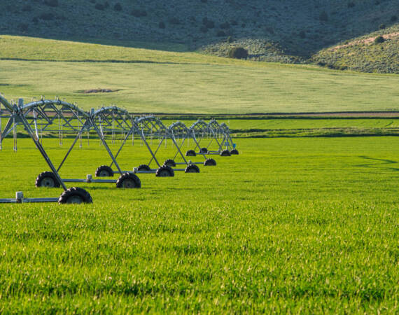 scenery-with-metal-sprinkling-machines-on-a-green-2026-01-07-07-21-50-utc