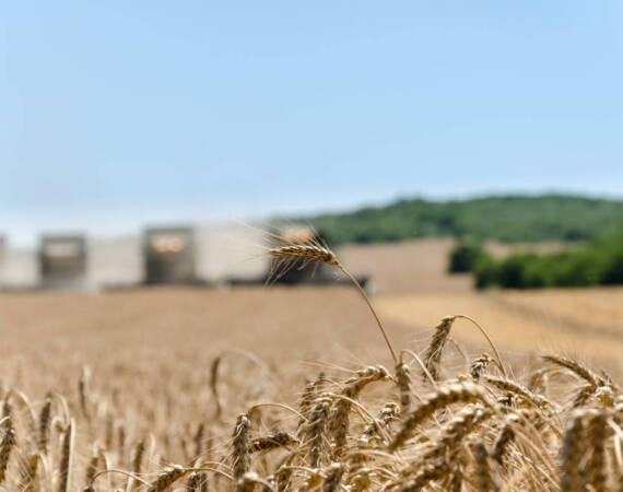 Kонференция на тема „Изкуството да хеджираш или как да се предпазим от рисковете в земеделския бизнес”